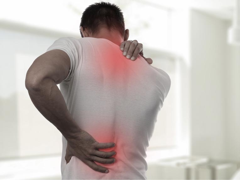 Máster en Entrenamiento para la Salud, Dolor y Patologías
